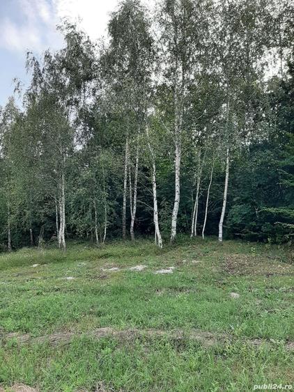 Casă cu 6 camere cu Teren 12500 Mp în Copăcelu