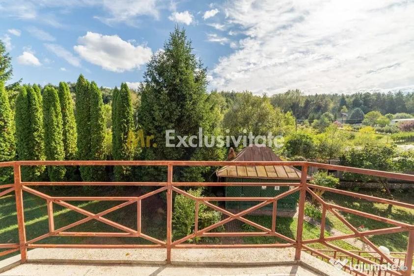 Casa in Valea Ursului + 1500 mp teren -jud. Arges - 13