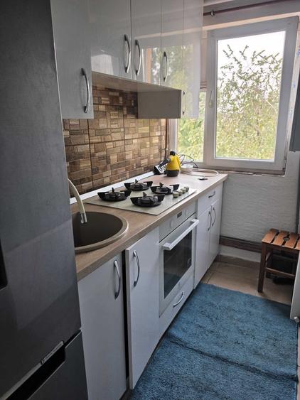Apartament cu 2 camere semidecomandat în Craiovița Nouă