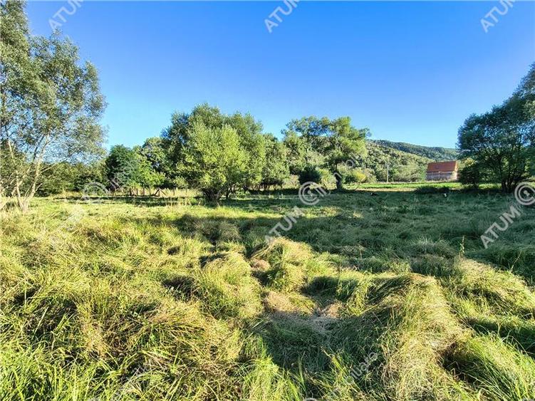 Teren extravilan de 2420 mp, în Fântânele