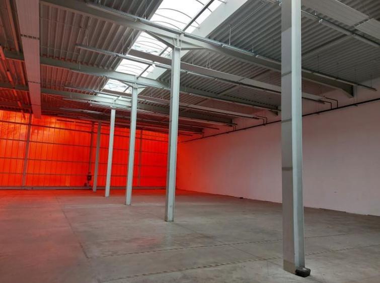 Proprietate specială, de 13,954 mp, în Otopeni