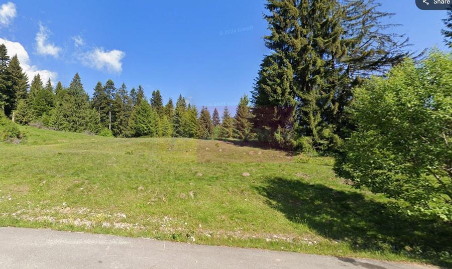 Teren Construcții intravilan de 989 mp, în Vlădeț - Trei Brazi