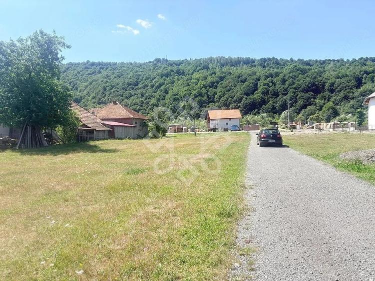 Teren de 4031 mp, în Negreni