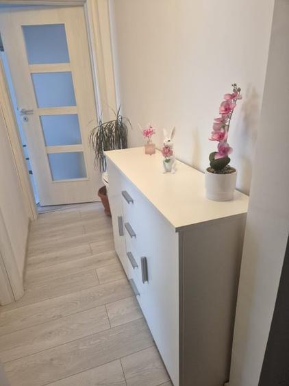 Apartament cu 3 camere decomandat, mobilat în Noua