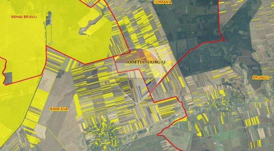 Teren agricol extravilan de 6100 mp, în Comana