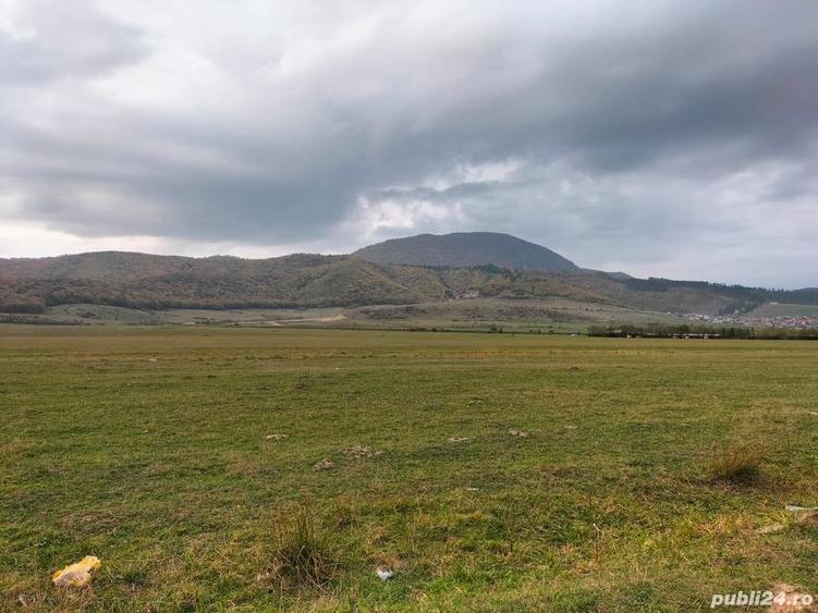 Teren de 600 mp, în Central