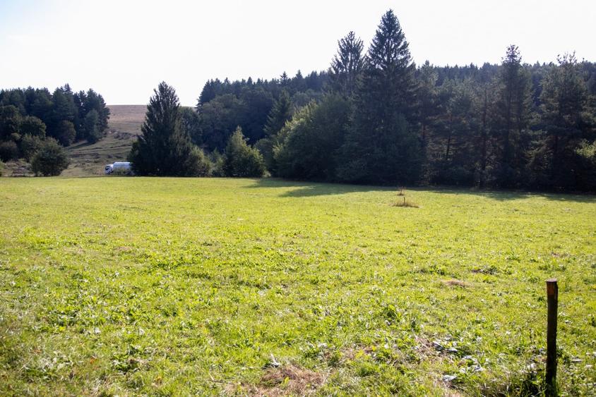 Teren Construcții intravilan de 6800 mp, în Vulcan