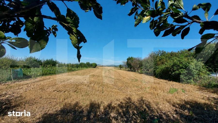 Casă cu 3 camere cu Teren 3860 Mp în Chichiș
