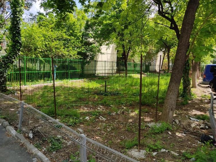 Teren Construcții intravilan de 304 mp, în Tei