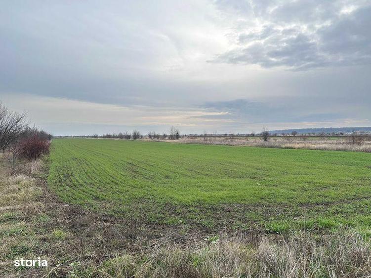 Teren de 545 mp, în Tărtășești
