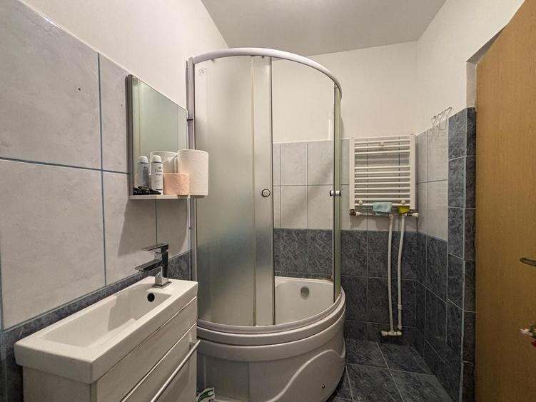Apartament cu 2 camere, mobilat în Terezian