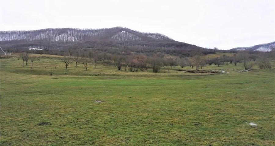 Teren agricol extravilan de 7200 mp, în Exterior Sud