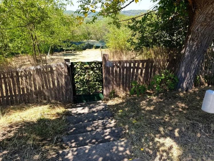 Teren de 2260 mp, în Poiana Lacului