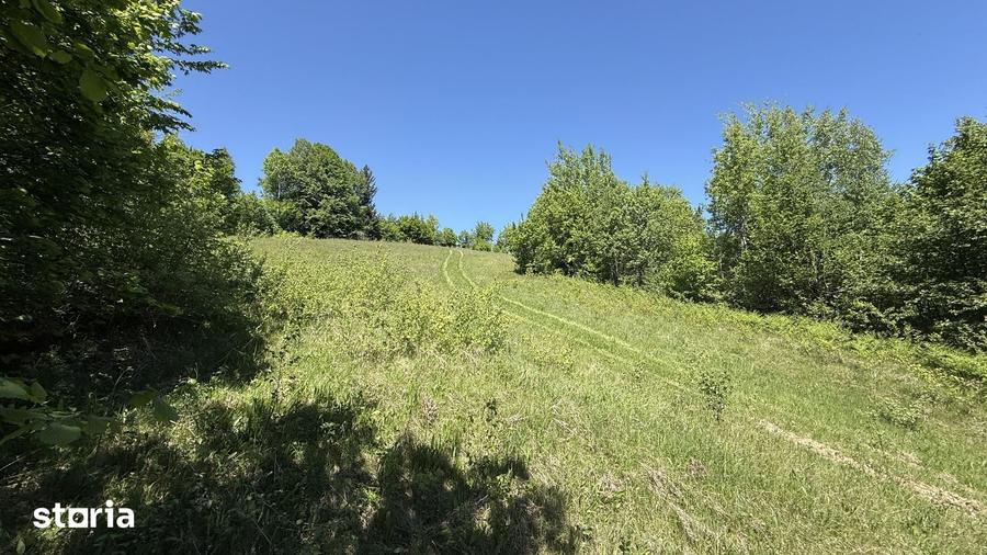 Teren de 21053 mp, în Vama