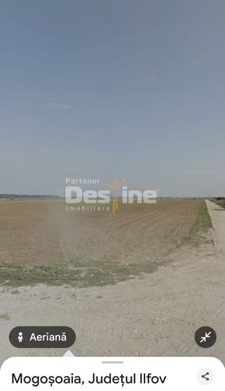 Teren Construcții extravilan de 12500 mp, în Mogoșoaia