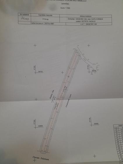 Spațiu comercial, în Cormaia