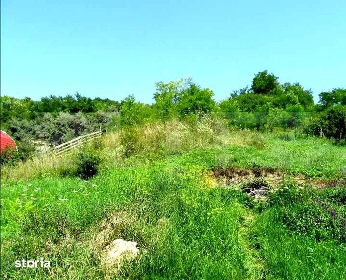 Teren de 15554 mp, în Gheorgheni