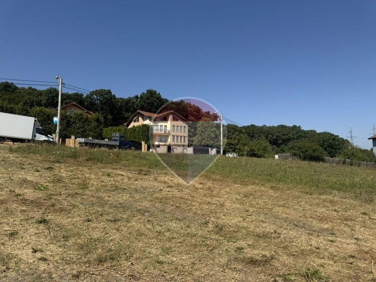 Teren Construcții intravilan de 7280 mp, în Câmpului