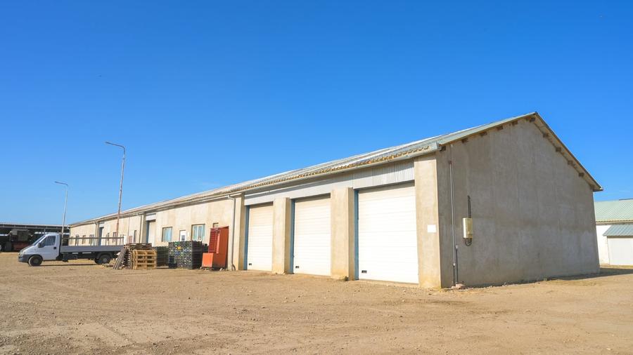 Spațiu industrial, de 7,684 mp, în Roșiori