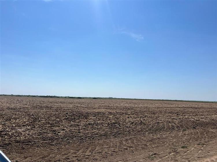 Teren agricol extravilan de 18100 mp, în Tinca