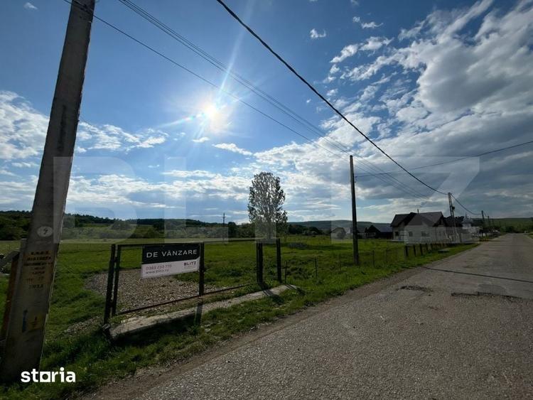 Teren intravilan 22 ari, ideal pentru locuinta/investitie in Tarpiu - 3
