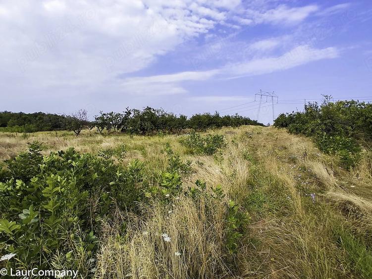 Parcele Teren extravilan Livada si Pasune Lunca Corbului Arges - 1