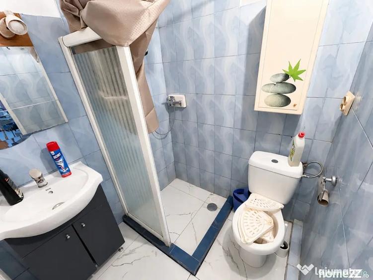 Apartament cu doua camere Calea Lipovei - Timisoara (Timis) - 5