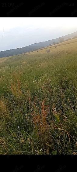 Teren de 58 mp, în Gilău