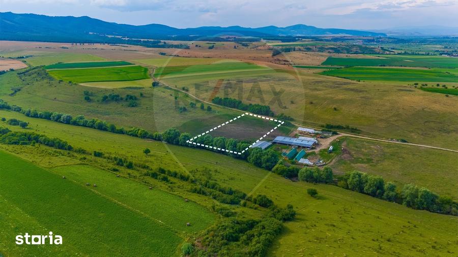 Oportunitate pentru fermieri: 10.800 mp teren arabil in Rotbav, Bra?ov - 16