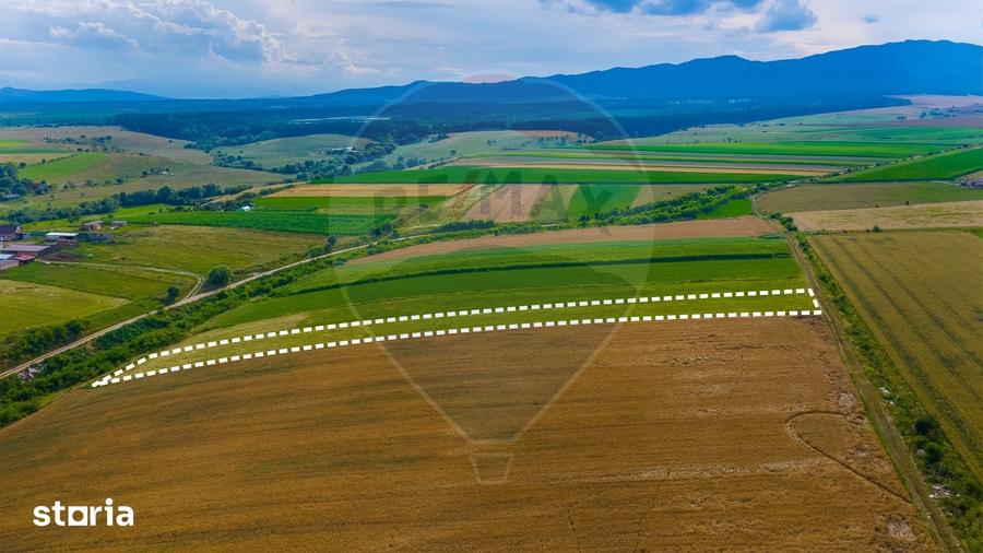 Oportunitate pentru fermieri: 10.800 mp teren arabil in Rotbav, Bra?ov - 6