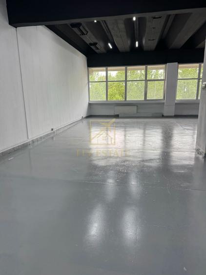 Spațiu industrial, de 180 mp, în Theodor Pallady