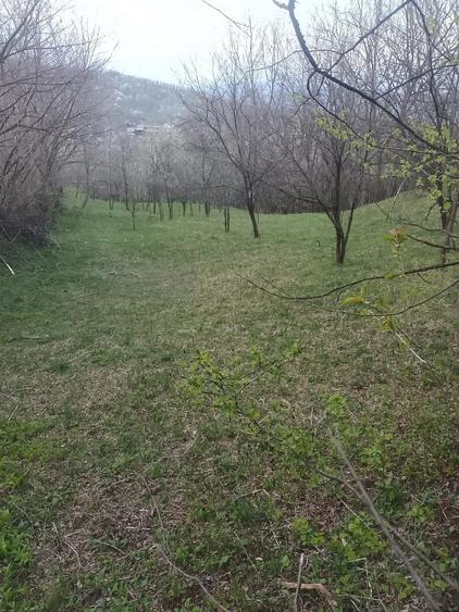 Teren de 2600 mp, în Izvoarele