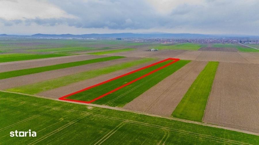 Teren de 17700 mp, în Prejmer