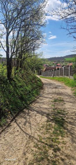 Teren de 1536 mp, în Ceuaș