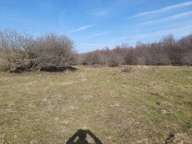 Teren de 4100 mp, în Vlădeni