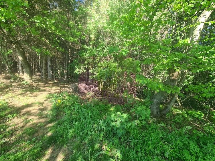 Teren de 2500 mp, în Voila