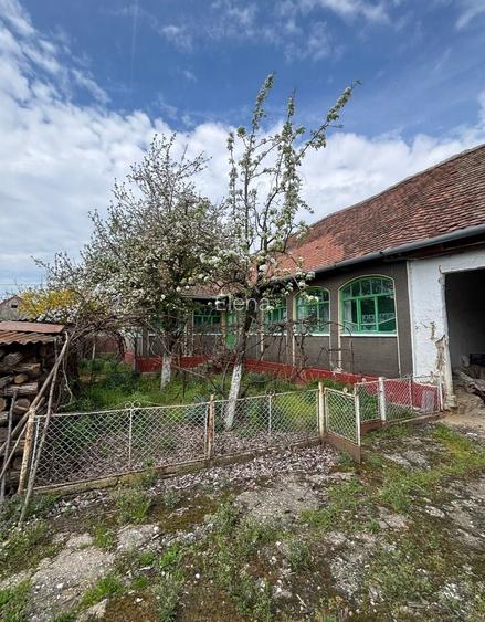 Casa de vanzare Dud. Arad
