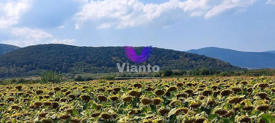 Teren agricol extravilan de 900 mp, în Poplaca