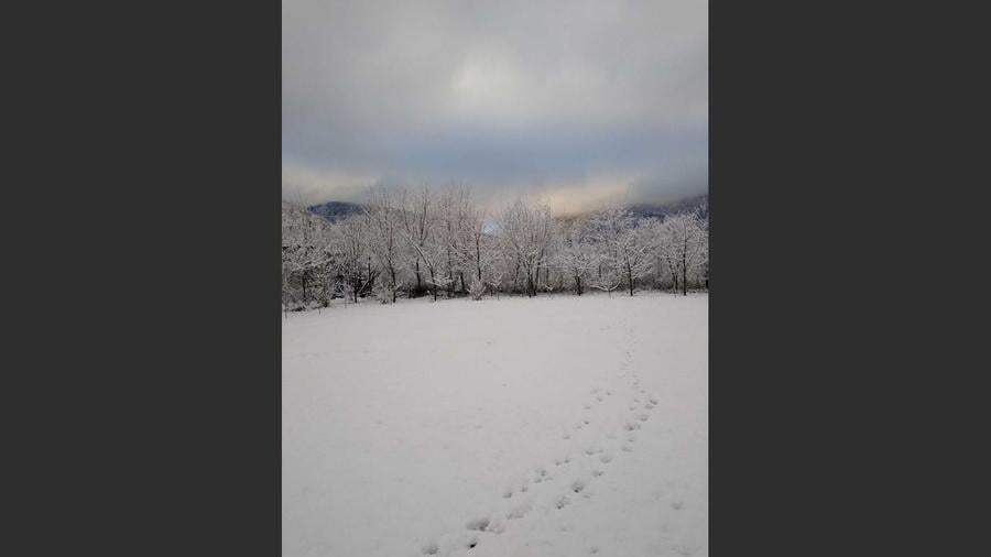 House for sale, 5 Rooms, 180 sqm, Valea Dejani - 10
