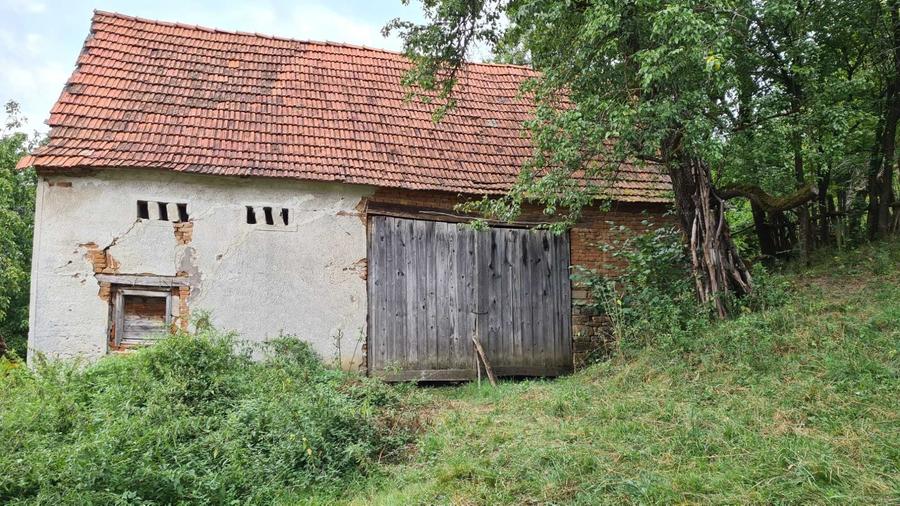 Casa si gradina de vanzare in Renghet, la 3 km de Geoagiu Bai - 2