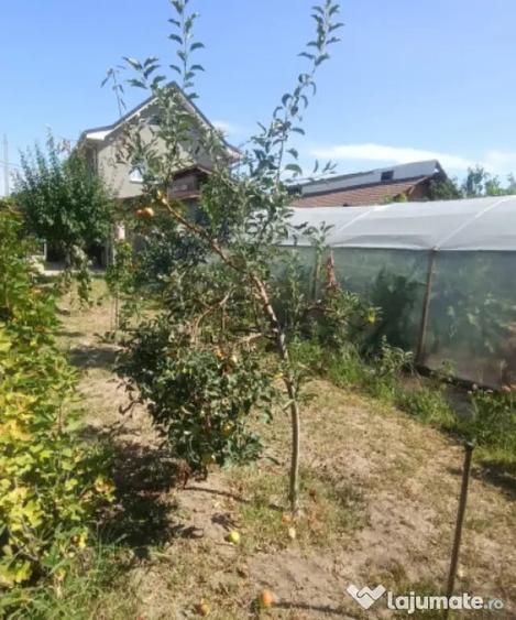 Casă cu 4 camere cu Teren 438 Mp în Romanești