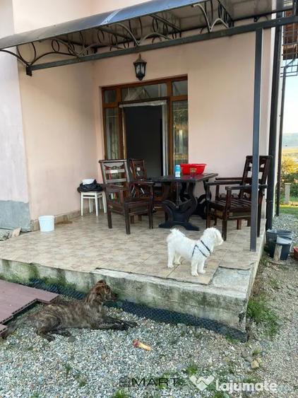 Casă cu 3 camere cu Teren 640 Mp în Cristian