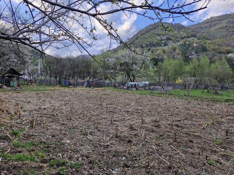 Casă în Ciungetu