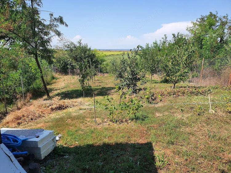 Teren de 1000 mp, în Poienarii Burchii