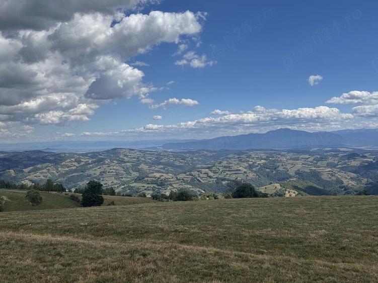 Teren de 15733 mp, în Poiana Mărului
