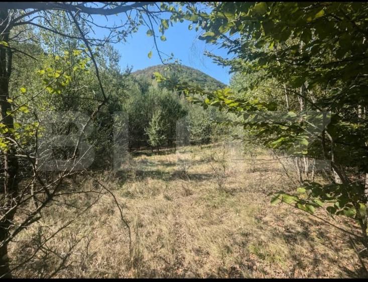 Teren extravilan de 3500 mp, în Aleșd