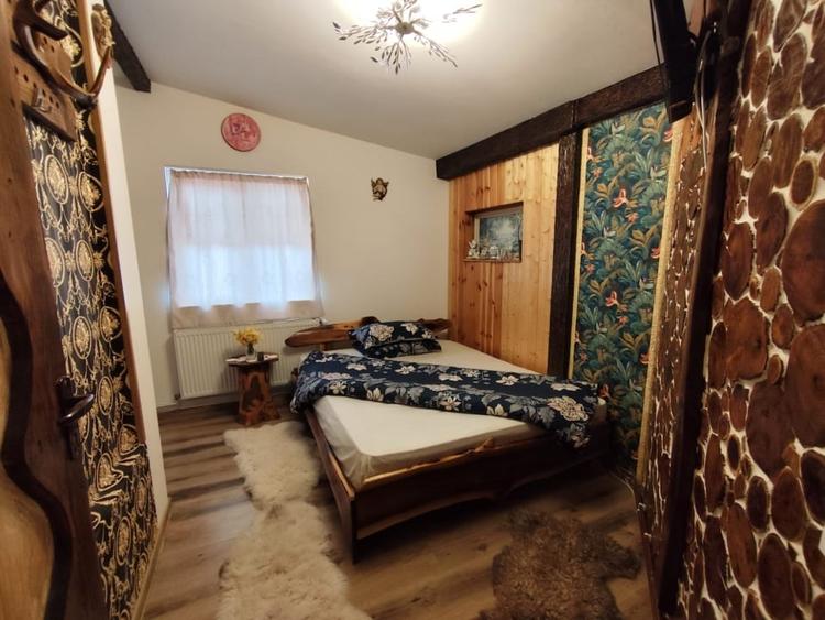 Casă individuală cu 10 camere cu Piscina în Strungari