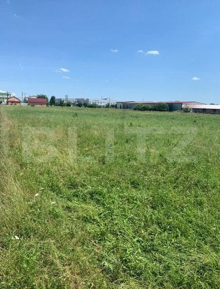 Teren agricol extravilan de 4000 mp, în Careiului