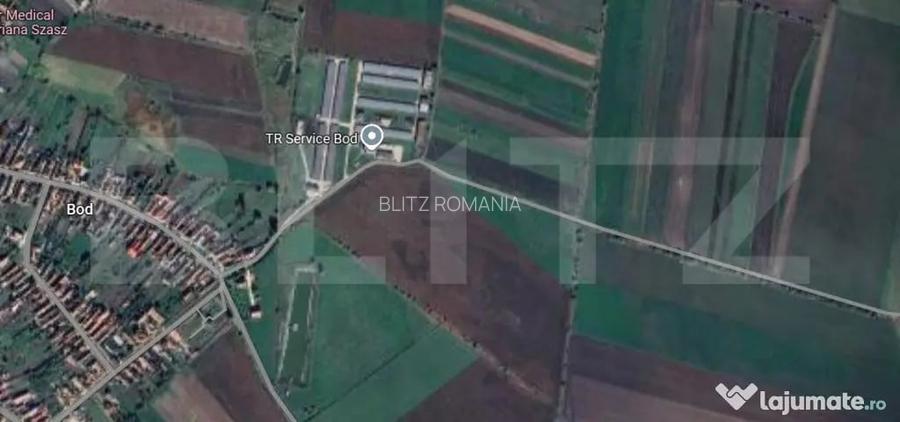 Teren extravilan de vanzare, 5000 mp, zona Bod - Brasov (Brasov)