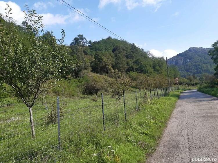 Teren de 7000 mp, în Voia